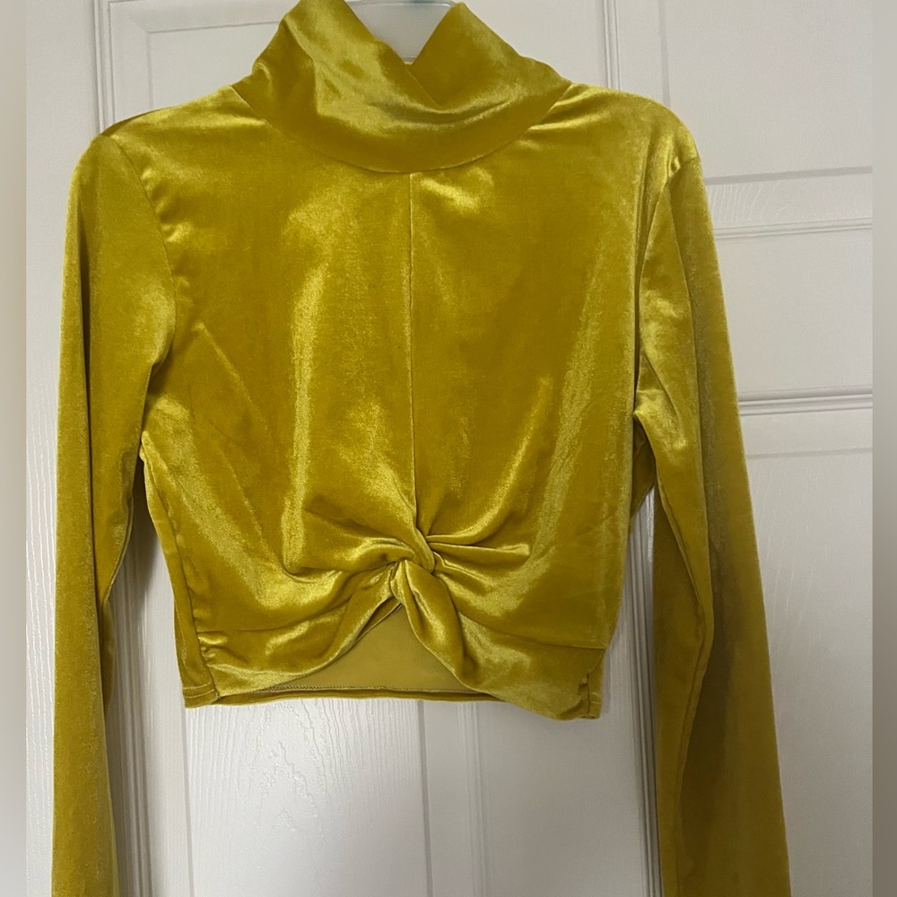 Woman’s velvet blouse